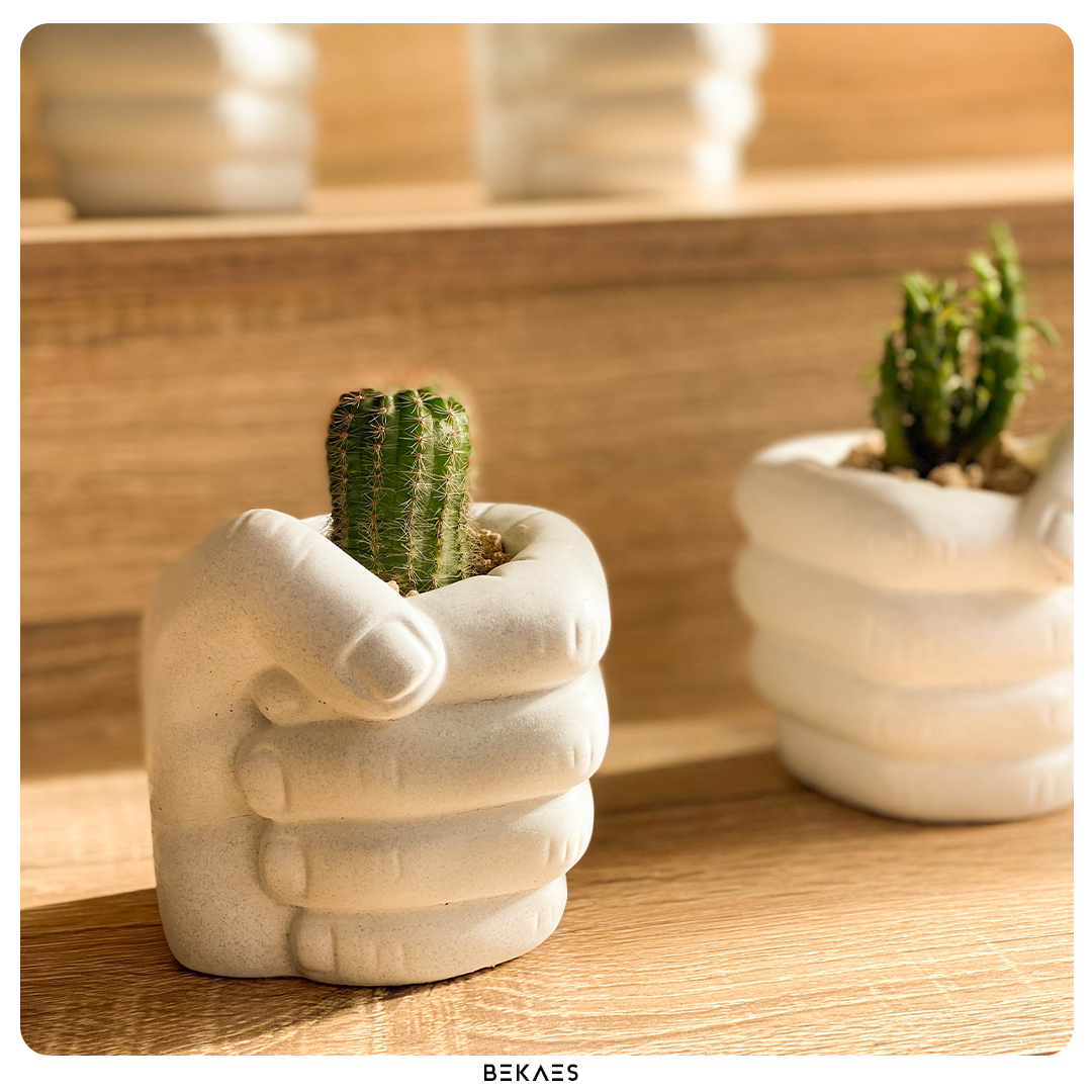 The Fist Pot