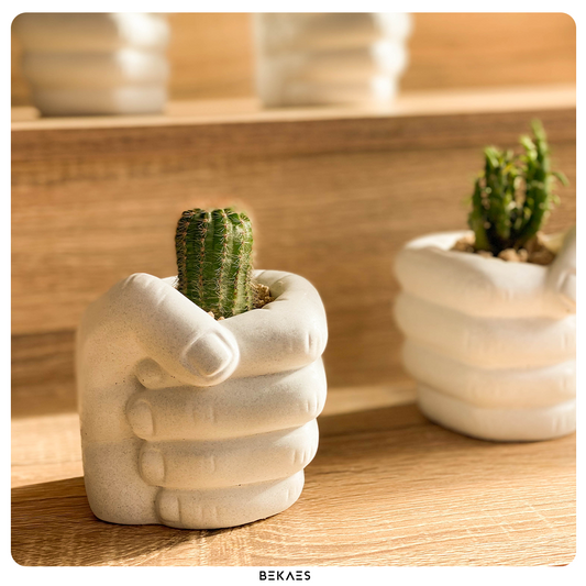 The Fist Pot